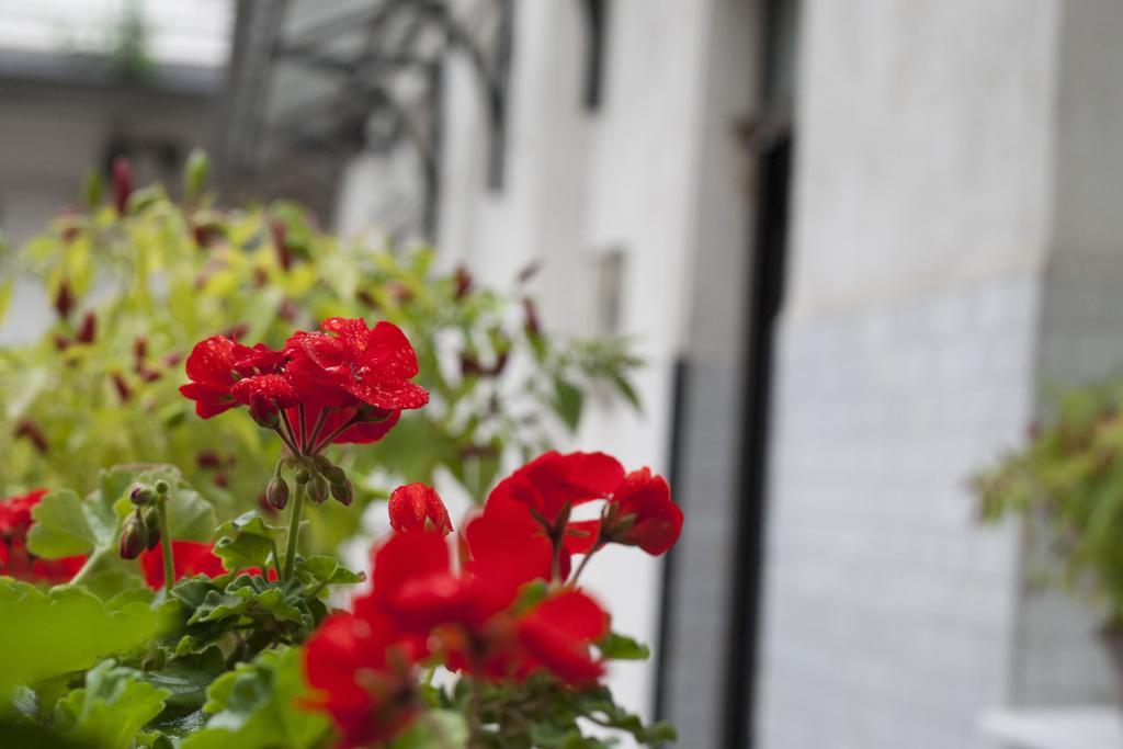 Appartement Ariel Close To St. Stephen Basilica *